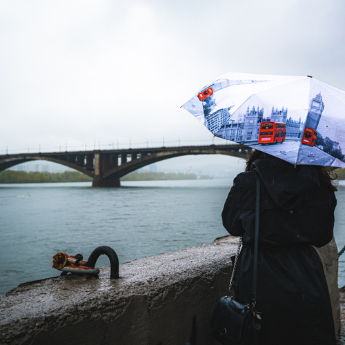 Photo #14075747