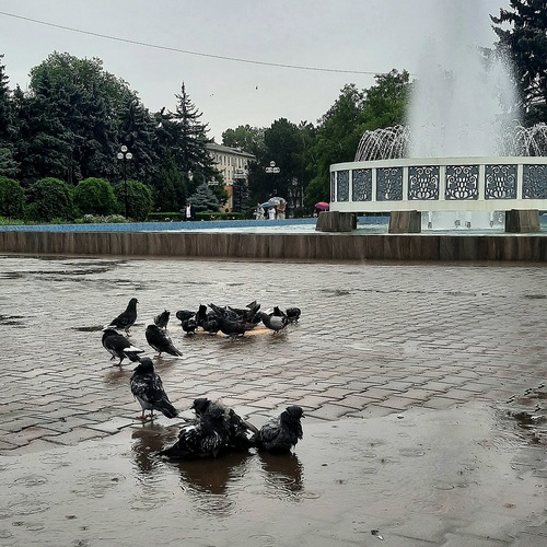 Фотография #14075768