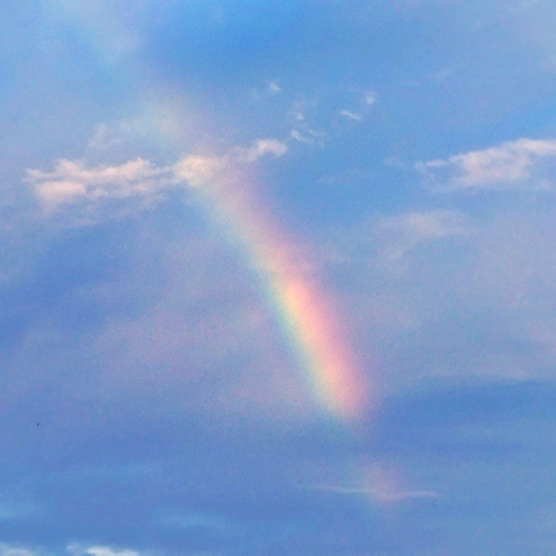 Photo #14075823
