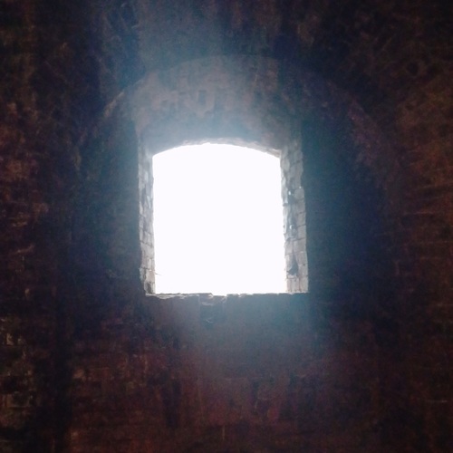 Photo #14075841