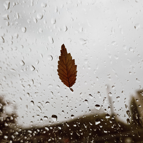 Photo #14075925