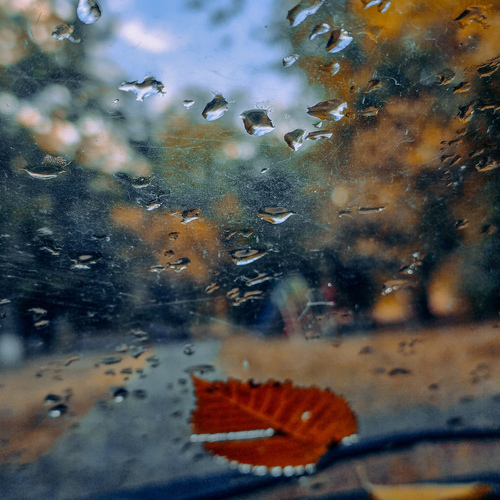 Photo #14075926