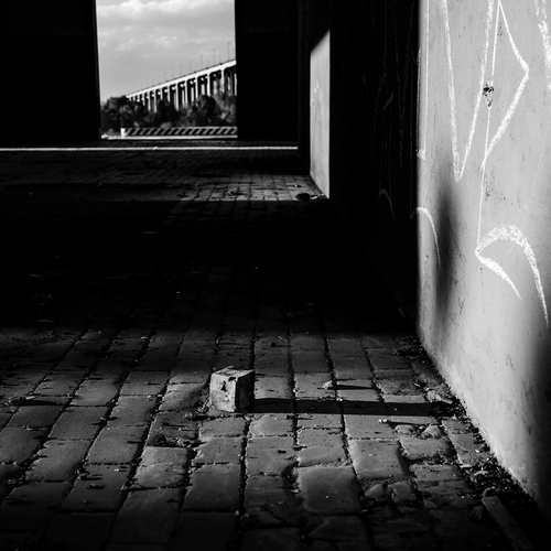 Photo #14076145