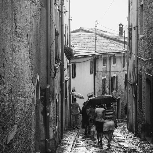 Photo #14076147