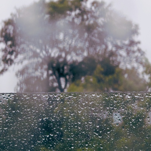 Photo #14076172