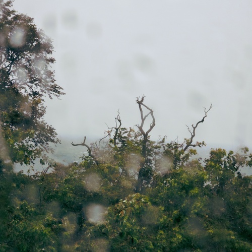 Photo #14076177