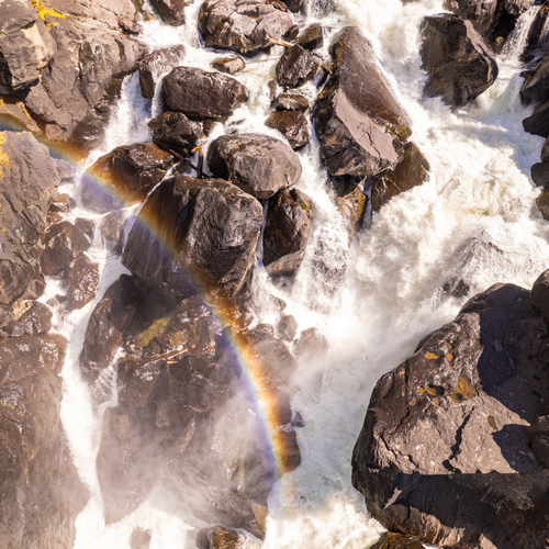 Photo #14076180