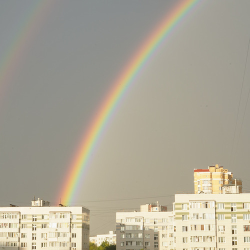 Photo #14076273