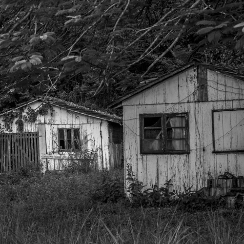 Photo #14076278