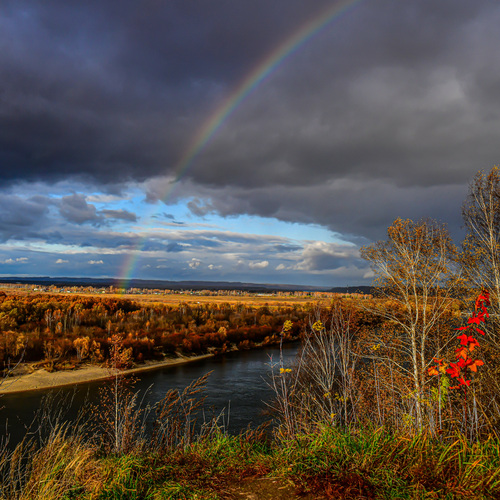Photo #14076319