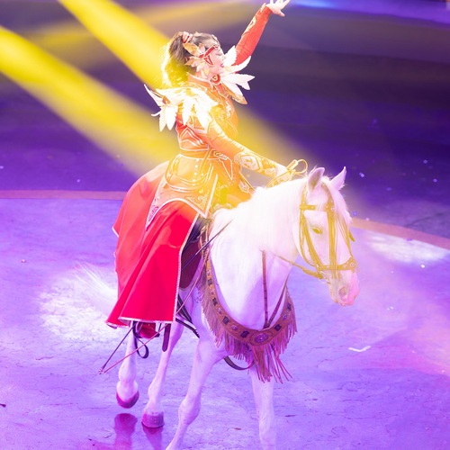 Photo #14076335