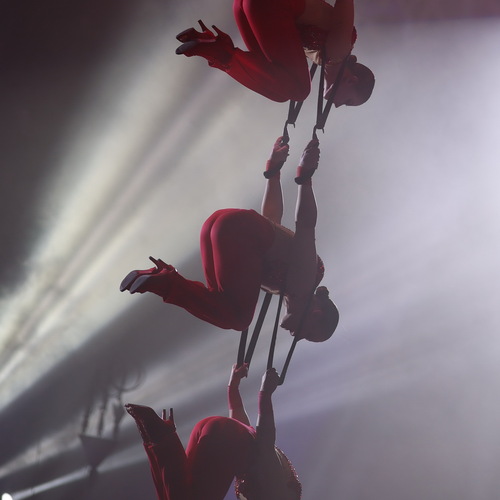 Photo #14076337