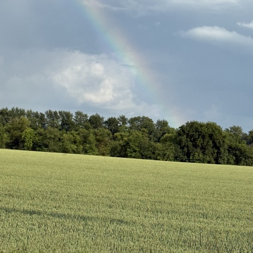 Photo #14076422