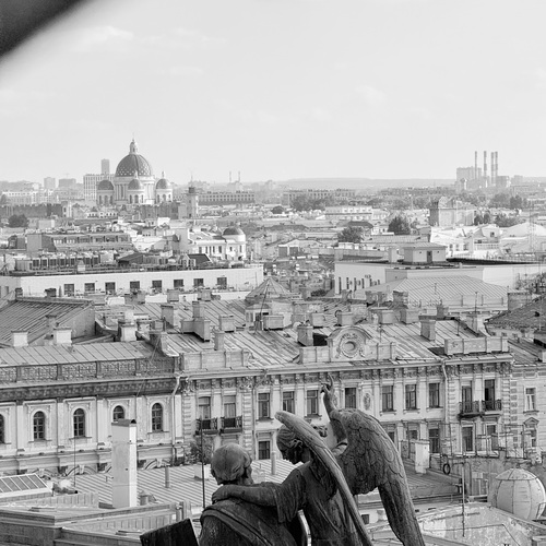 Фотография #14076469