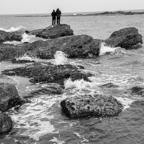 Photo #14076563
