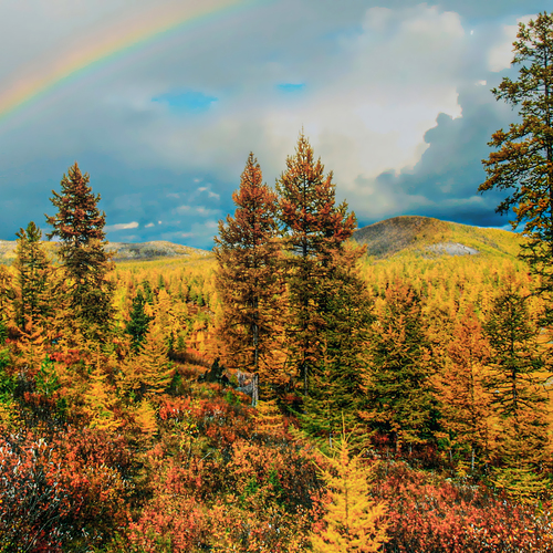 Photo #14076588