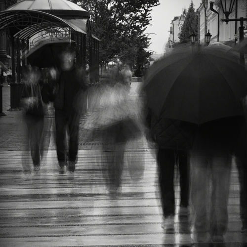 Photo #14076635