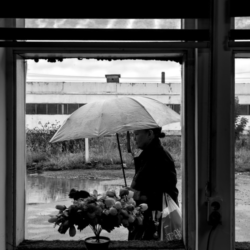 Photo #14076636