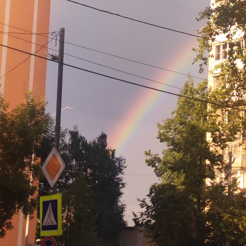 Photo #14076832