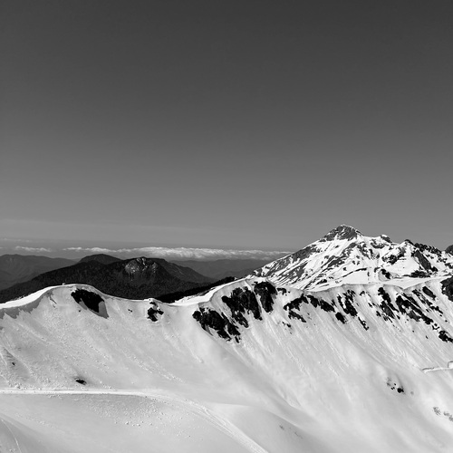 Photo #14076856