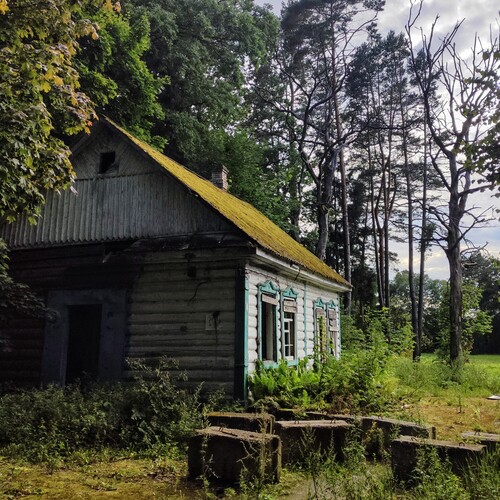 Photo #14076942