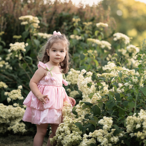 Photo #14076967