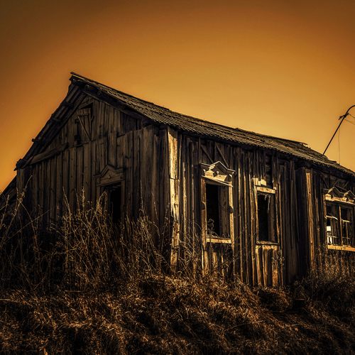 Photo #14076987