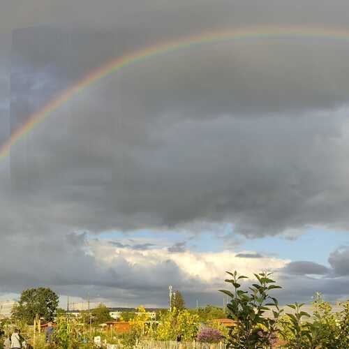 Photo #14077005