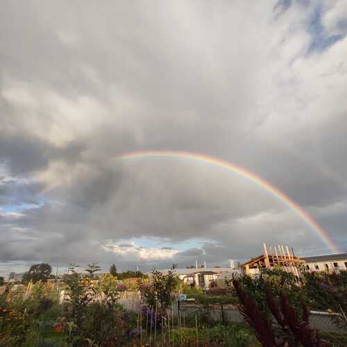 Photo #14077006
