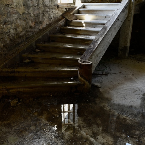 Photo #14077064