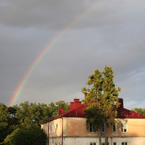 Photo #14077073