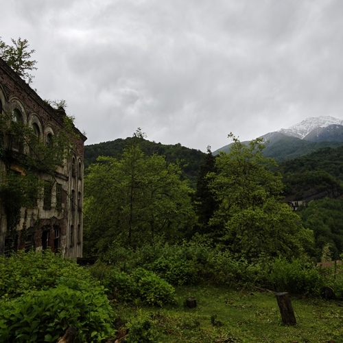 Photo #14077086