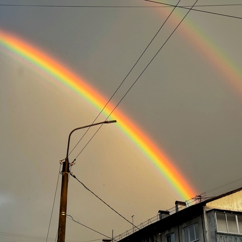 Photo #14077286