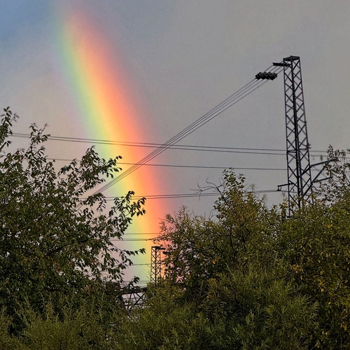 Photo #14077293