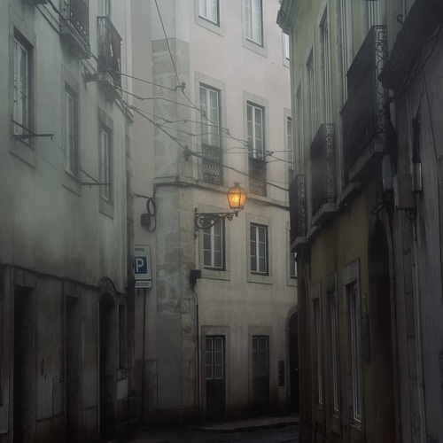 Photo #14077448