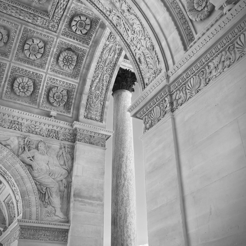 Photo #14077481