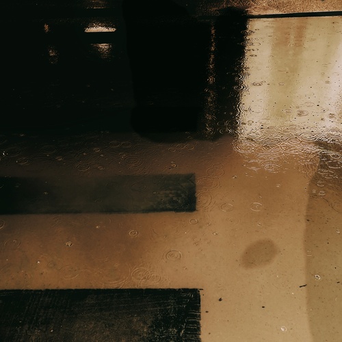 Photo #14077523