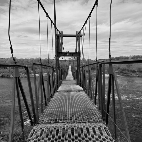 Photo #14077534