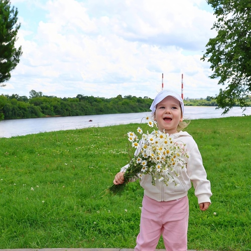 Ромашки