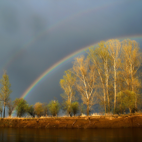 Photo #14077681