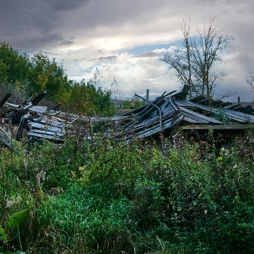 Photo #14077716