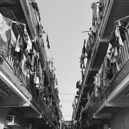 Photo #14077739