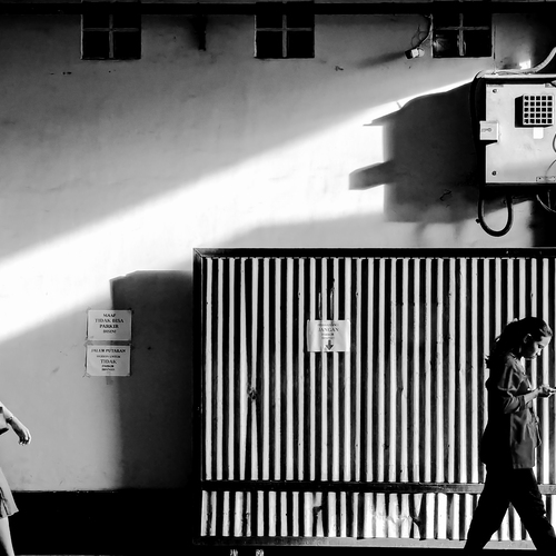 Photo #14077865