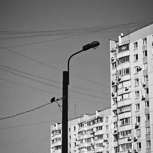 Фотография #14077877