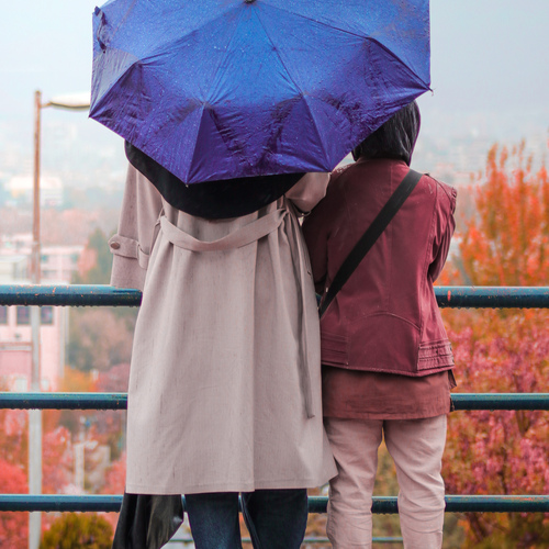 Photo #14078060
