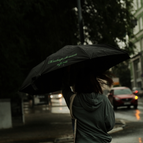 Photo #14078188