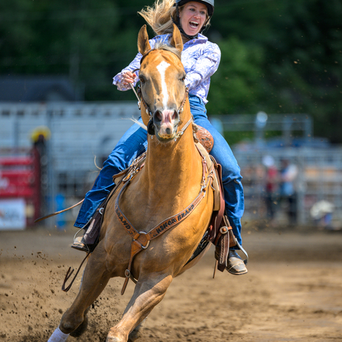 Photo #14078266