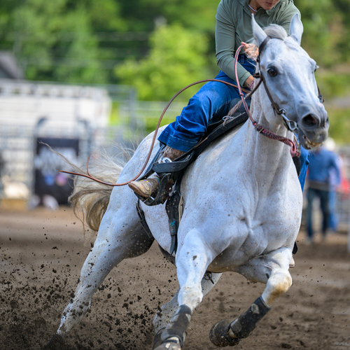 Photo #14078267