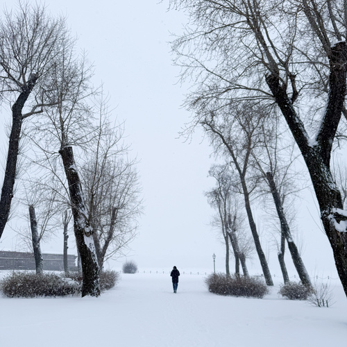 Photo #14078304