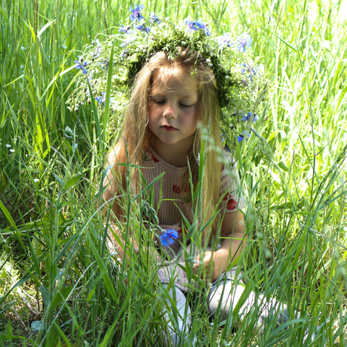 Photo #14078342
